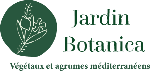 Logo principal + phrase@2x